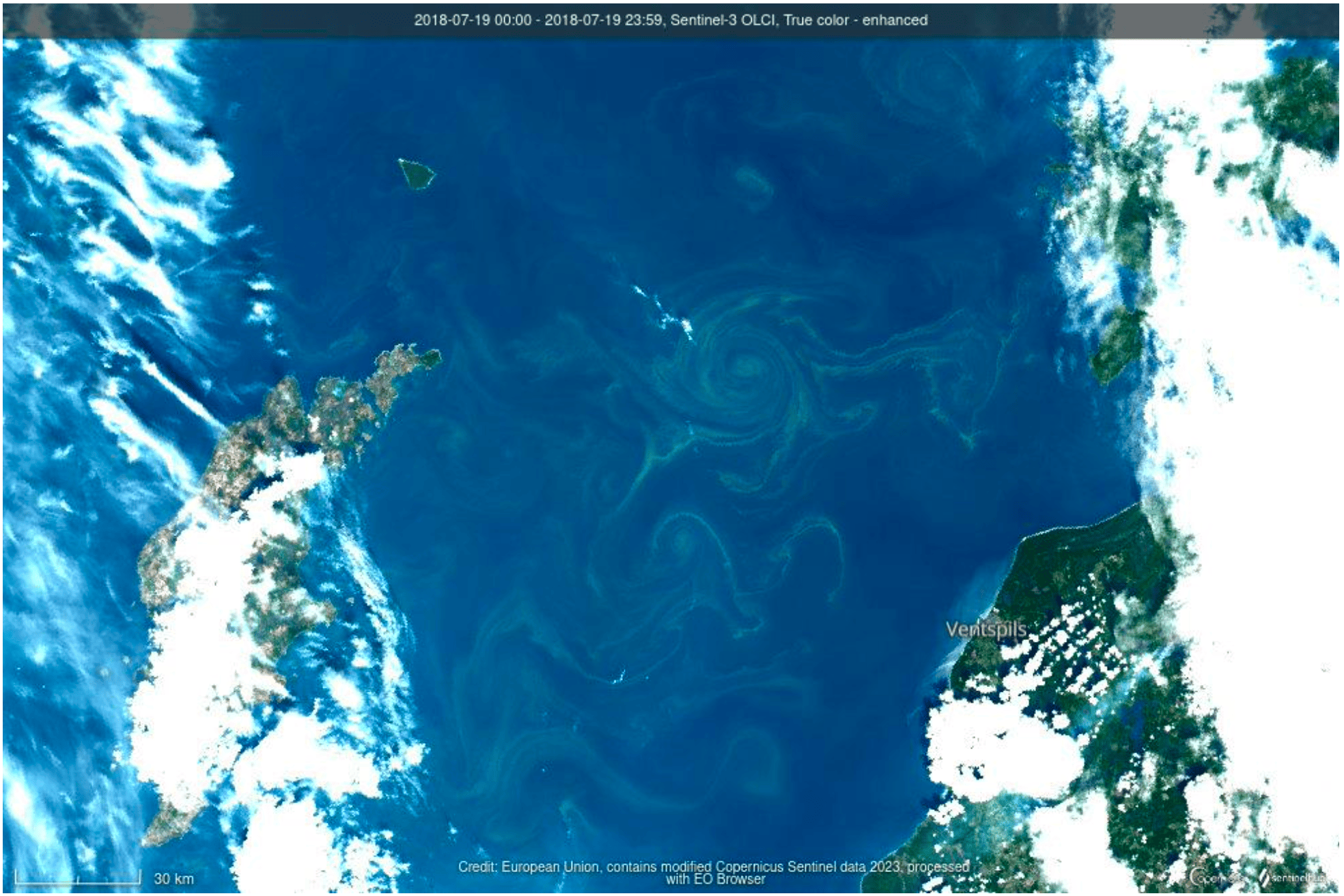 Algal blooms caught in an eddy