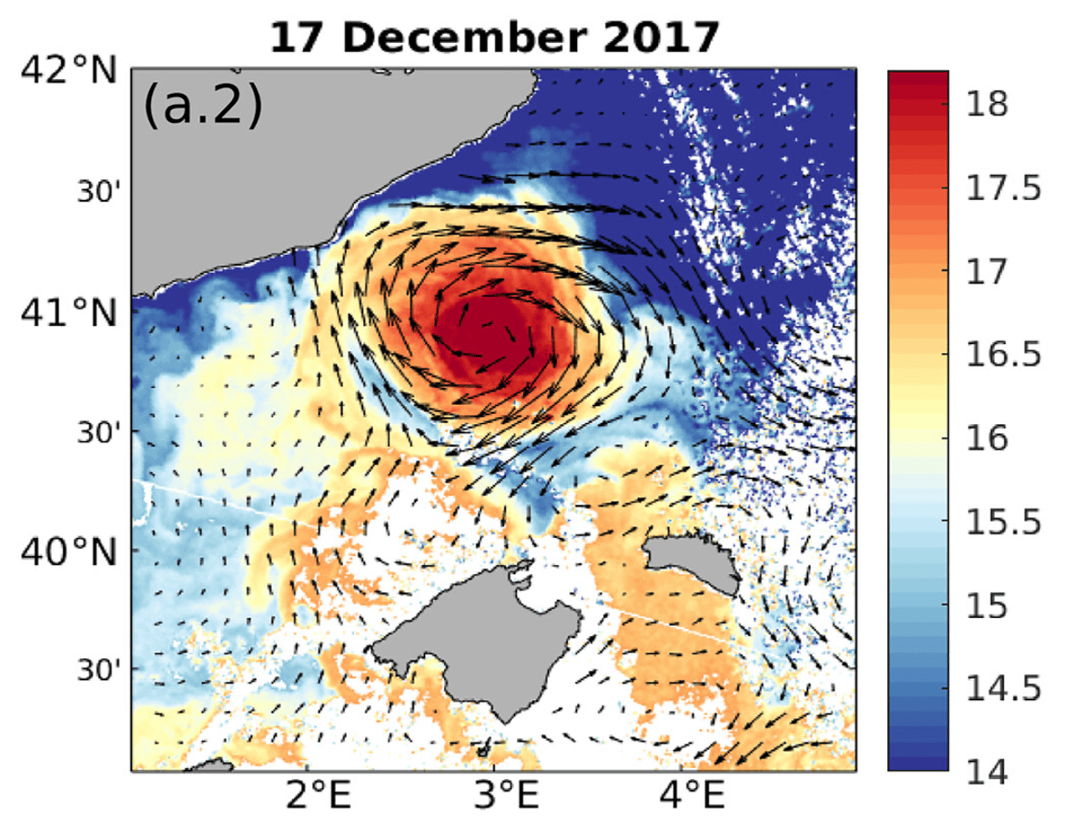Eddy dynamics in the Balearic Sea